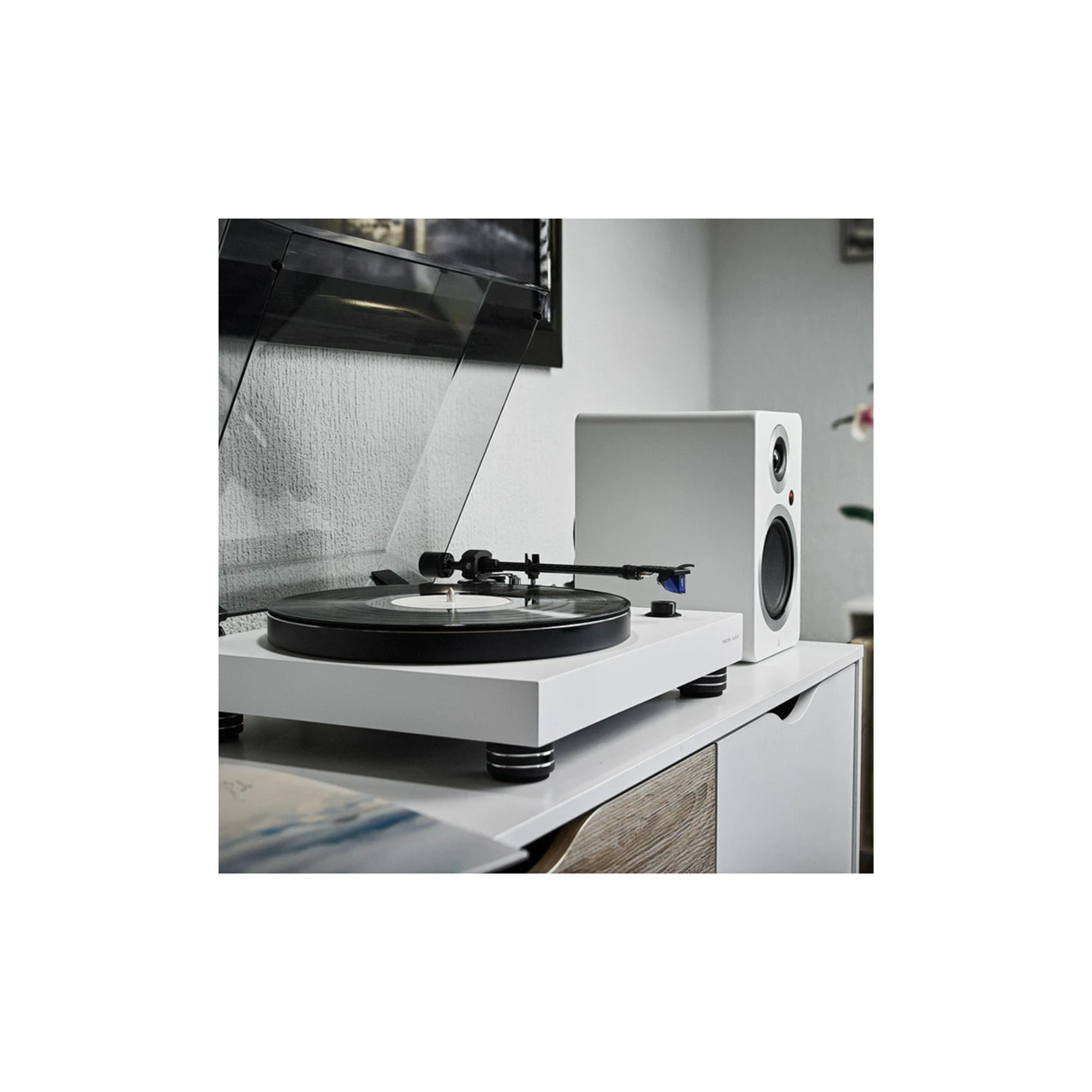 Argon Audio TT-4 MK2 - Manual Belt Drive Turntable (Black)