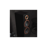 Argon Audio Forte A55 Wifi - Wifi Enabled Powered Floor Standing Speaker with HDMI ARC (Pair) (Black)