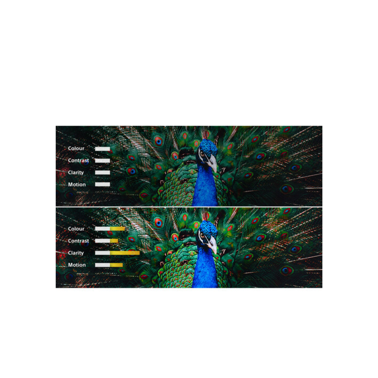 Sony Bravia Projector 9 VPL-XW8100ES - Native 4K HDR Home Cinema Laser Projector