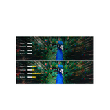 Sony Bravia Projector 9 VPL-XW8100ES - Native 4K HDR Home Cinema Laser Projector