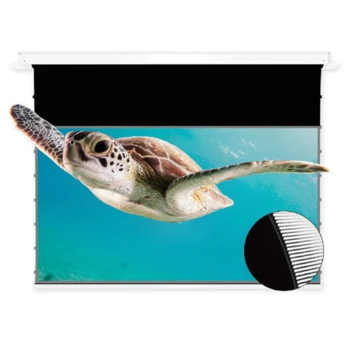 Vividstorm Phantom Recessed 100 Inches In-Ceiling Motorised Tension Obsidian Ultra Short Throw ALR Projector Screen
