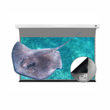 Vividstorm Long Throw Obsidian Slimline Ambient Light Rejection 110 Inches Motorised Tab Tension Screen