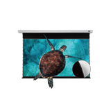 Vividstorm PRO Slimline Tab Tension Ultra short Throw Ambient Light Rejecting Drop Down Motorised Projection Screen 120 Inches