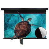 Vividstorm PRO Slimline Tab Tension Ultra short Throw Ambient Light Rejecting Drop Down Motorised Projection Screen 130 Inches