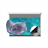Vividstorm Long Throw Obsidian Slimline Ambient Light Rejection 100 Inches Motorised Tab Tension Screen