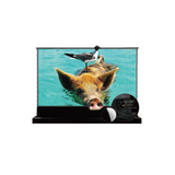 Vividstorm S PRO ALR Grey Floor Rising Projection Screen with Acoustic Transparency for Ultra Short Throw Projector (110 Inches)
