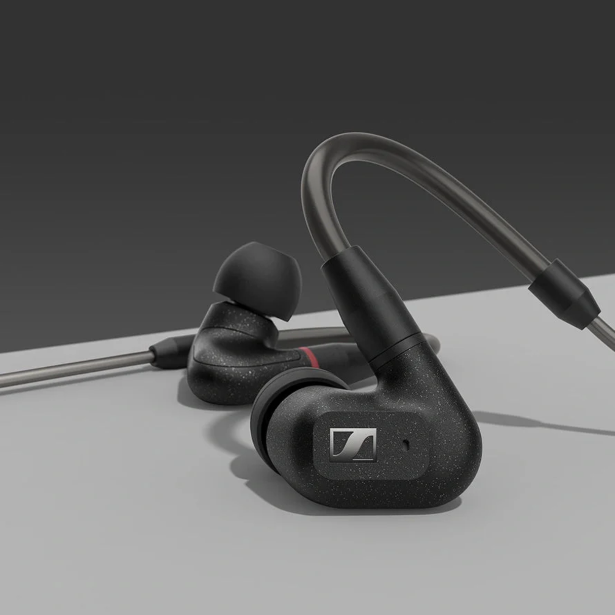 Sennheiser IE300 Hi-Res Audiophile in-Ear Monitors