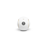 Devialet Phantom Ultimate 98 dB - Ultra Compact Wireless Speaker Stereo Bundle (Opera De Paris) (Pair Pack)
