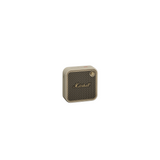 Marshall Willen II Portable Bluetooth Speaker with 17+ Hours of Portable Playtime (Cream)