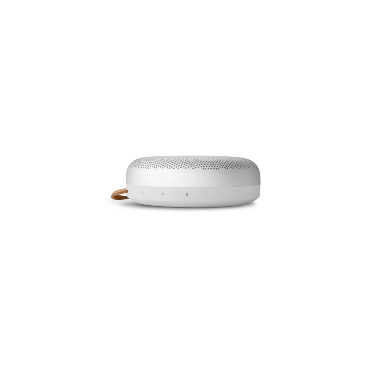 Bang & Olufsen Beosound A1 3rd Gen Portable Waterproof Bluetooth Speaker (Natural Aluminum)