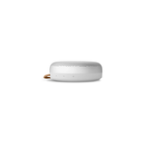 Bang & Olufsen Beosound A1 3rd Gen Portable Waterproof Bluetooth Speaker (Natural Aluminum)