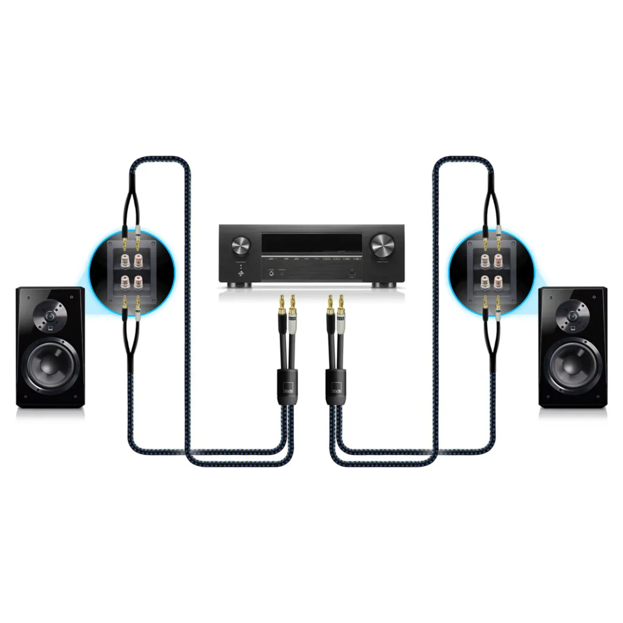 SVS SoundPath Ultra Bi-Wire Speaker Cable (6 Meter)