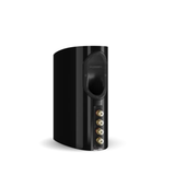 Dali Epikore 3 - 3-Way Bookshelf Speaker (Pair) (High Gloss Black)