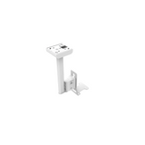 Sonos Flexson Ceiling Mount for Sonos Era 300 (White)