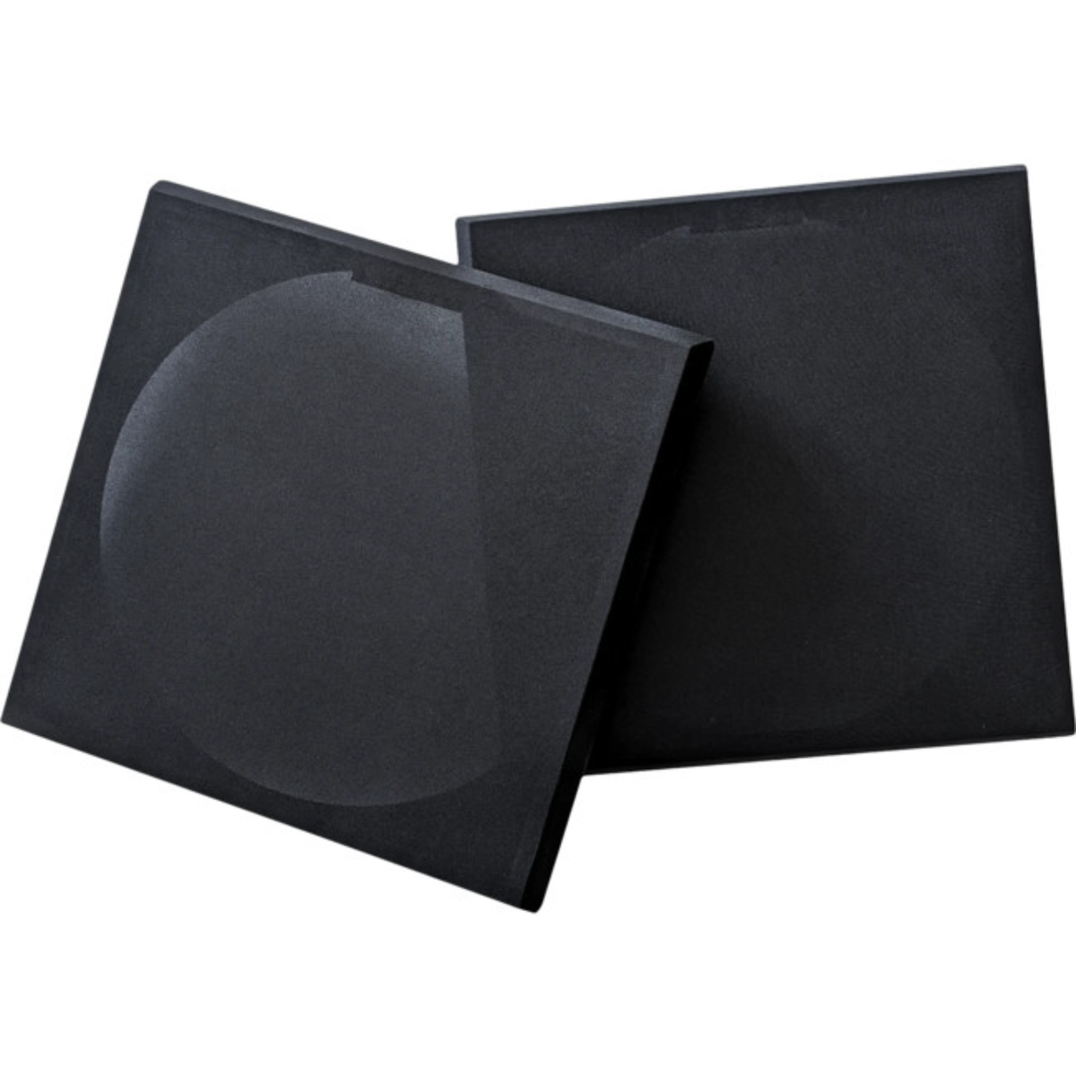 Earthquake MKVI-DSP12  - 12 Inches Powered Subwoofer (1000 Watts)