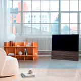 Canvas 65'' Soundbar (Wood Finish, Walnut)