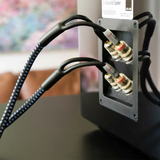 SVS SoundPath Ultra Bi-Wire Speaker Cable (3 Meter)