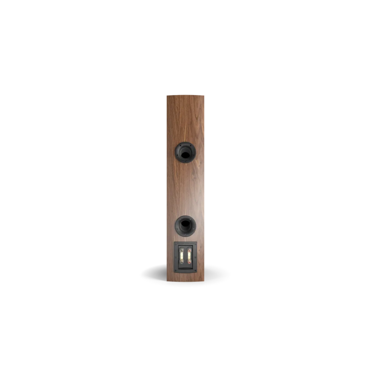 Dali Rubicon 6 - 3 Way Floor Standing Speaker (Pair) (Natural Walnut)