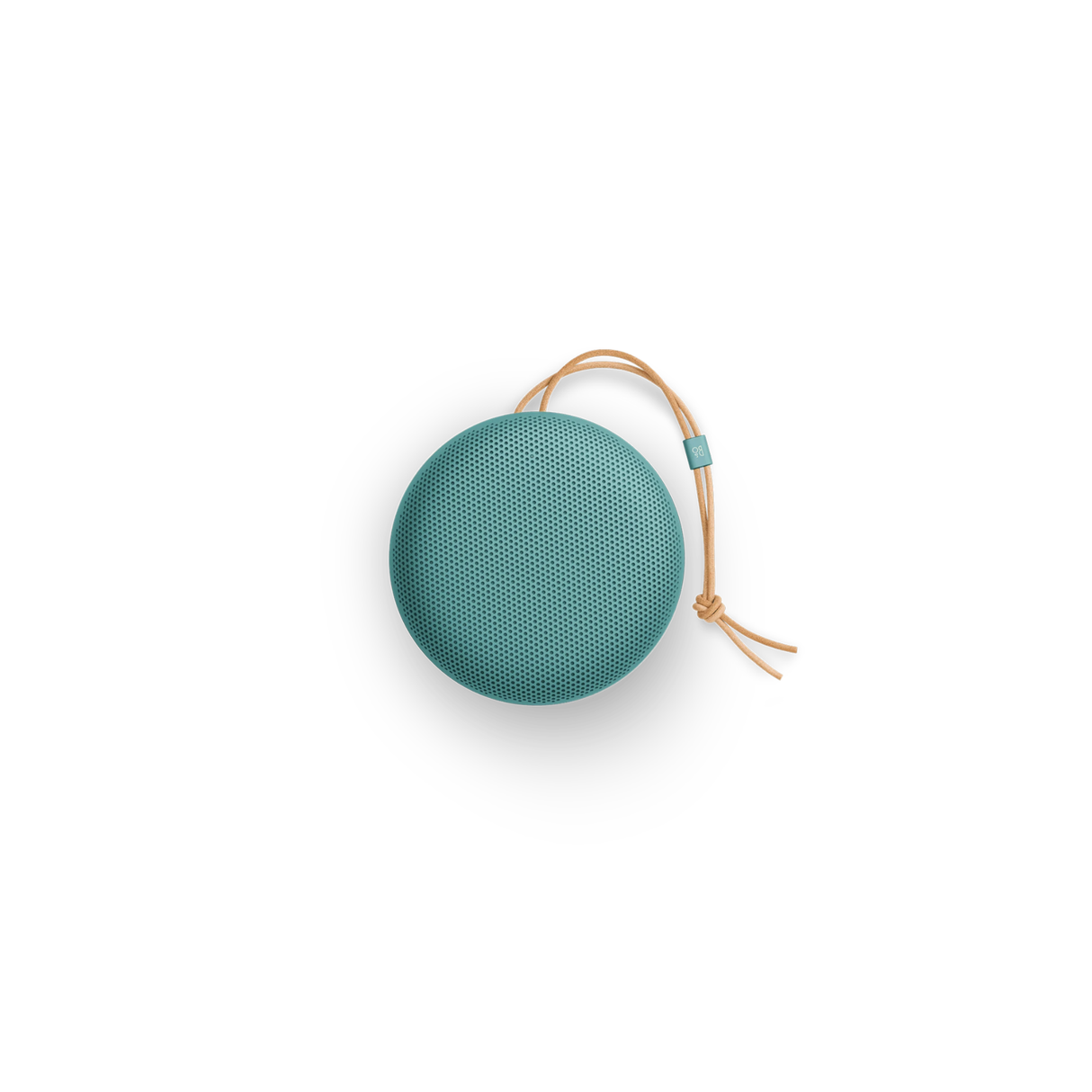 Bang & Olufsen Beosound A1 3rd Gen Portable Waterproof Bluetooth Speaker (Eucalyptus Green)