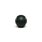 Devialet Phantom Ultimate 98 dB - Ultra Compact Wireless Speaker (Deep Forest)