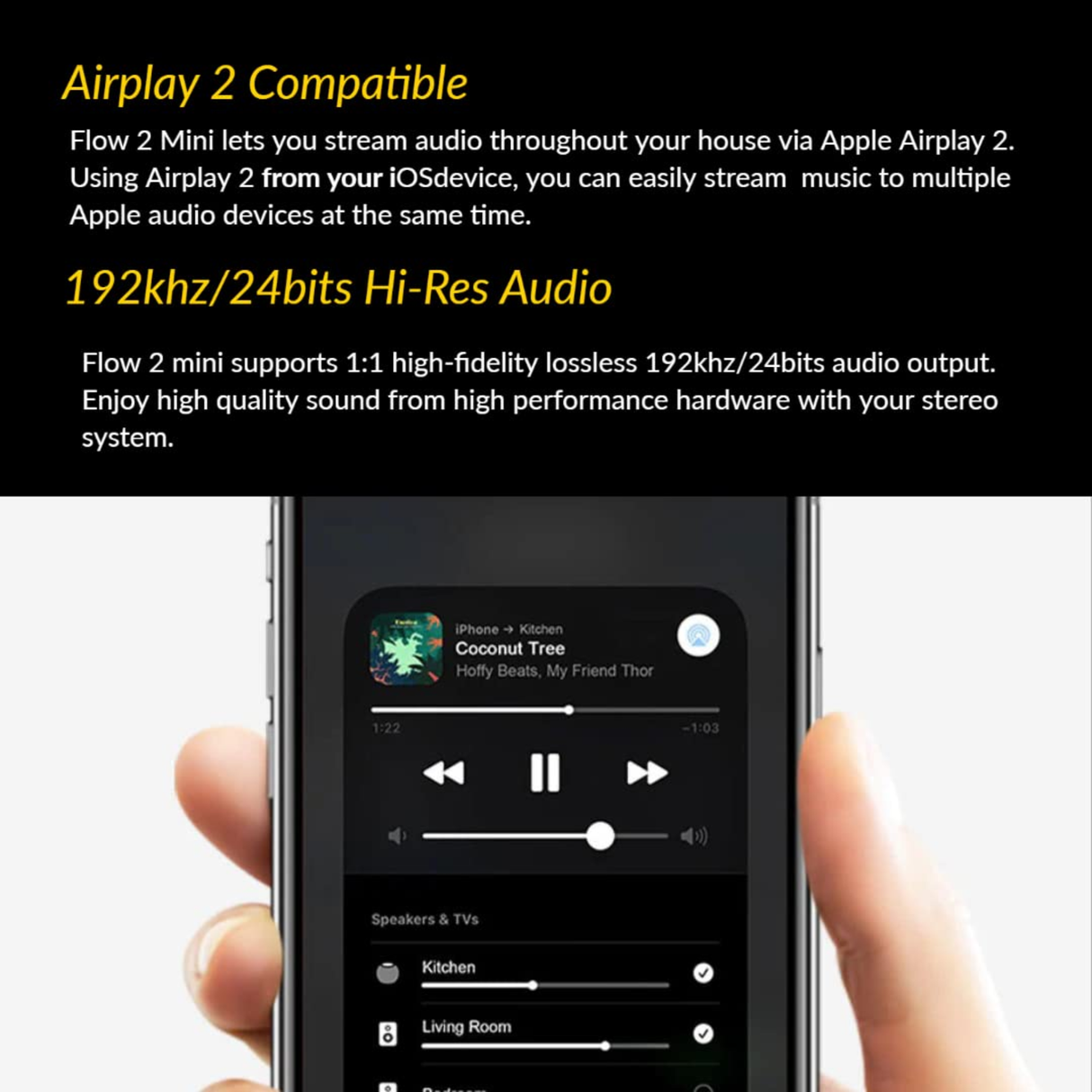 Multi AV Flow 2 Mini - Airplay 2 , WiFi Multi Room Hi-Res Music Streamer
