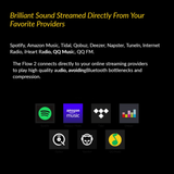 Multi AV Flow 2 Mini - Airplay 2 , WiFi Multi Room Hi-Res Music Streamer