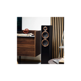 Argon Audio Forte A55 Wifi - Wifi Enabled Powered Floor Standing Speaker with HDMI ARC (Pair) (Black)