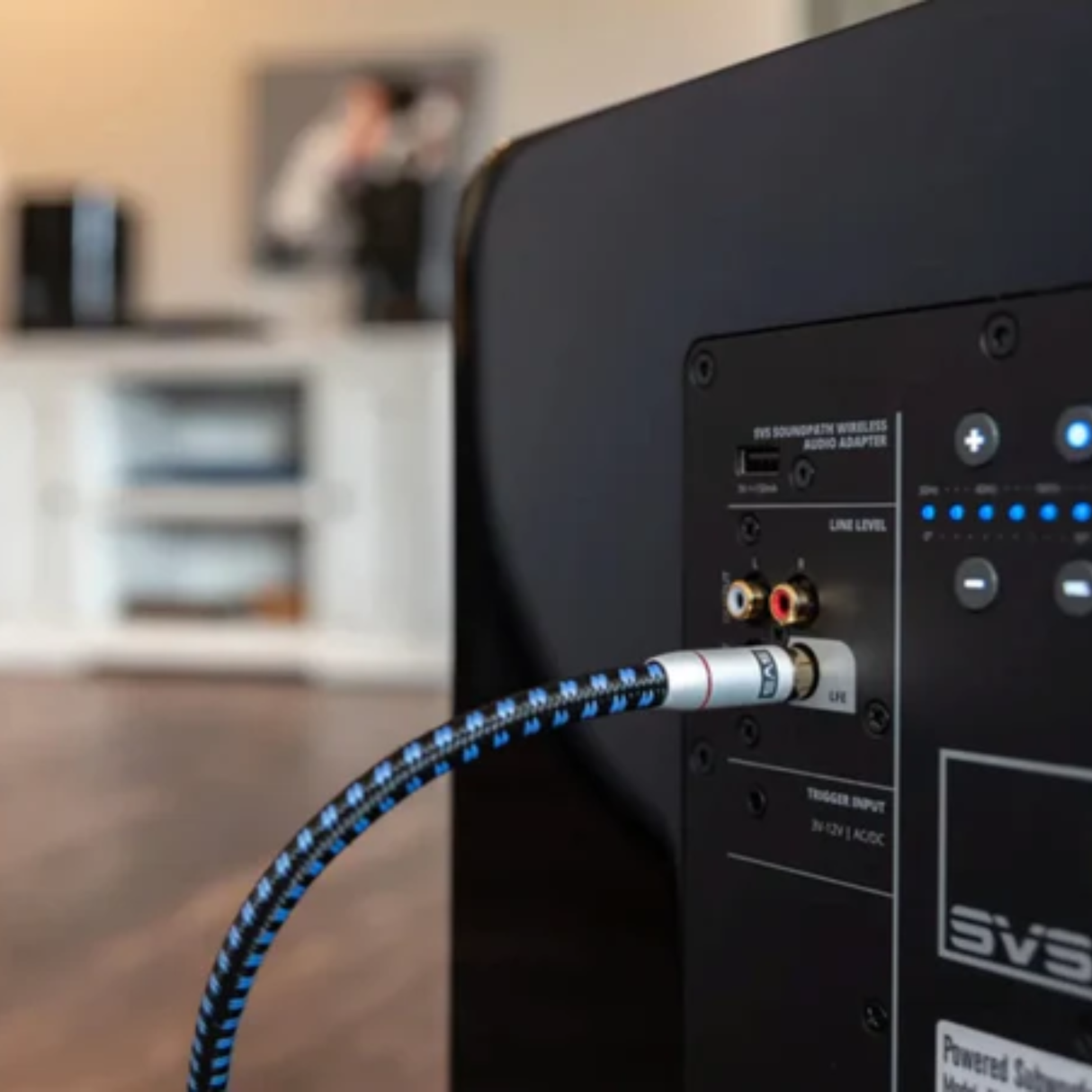 SVS SoundPath RCA - RCA Interconnect Subwoofer Cable (3 Meter)