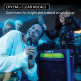 Sony ULTMIC1 Wireless Microphone for Karaoke with 20 Hour Battery (Includes Two Wireless Mics and Receiver) (UOULTMIC1)