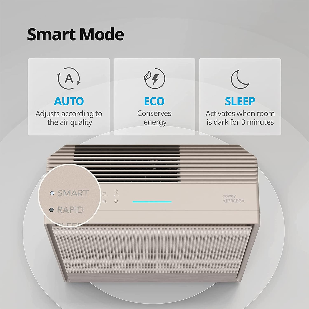 Coway Airmega 250 (Ap-1720H) Air Purifier For Living Room,Filter Life 8500Hrs (Approx. 1.5-2 Yrs),Anti-Virus True Hepa Filter (H13),Kills Allergies,Virus,Germs & Pm 0.01 With 99.999% Efficiency
