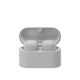 Sony WF-1000XM6 - The Best Noise Cancelling Wireless Earbuds, Up to 24 Hours of Battery, Bluetooth (Platinum Silver)