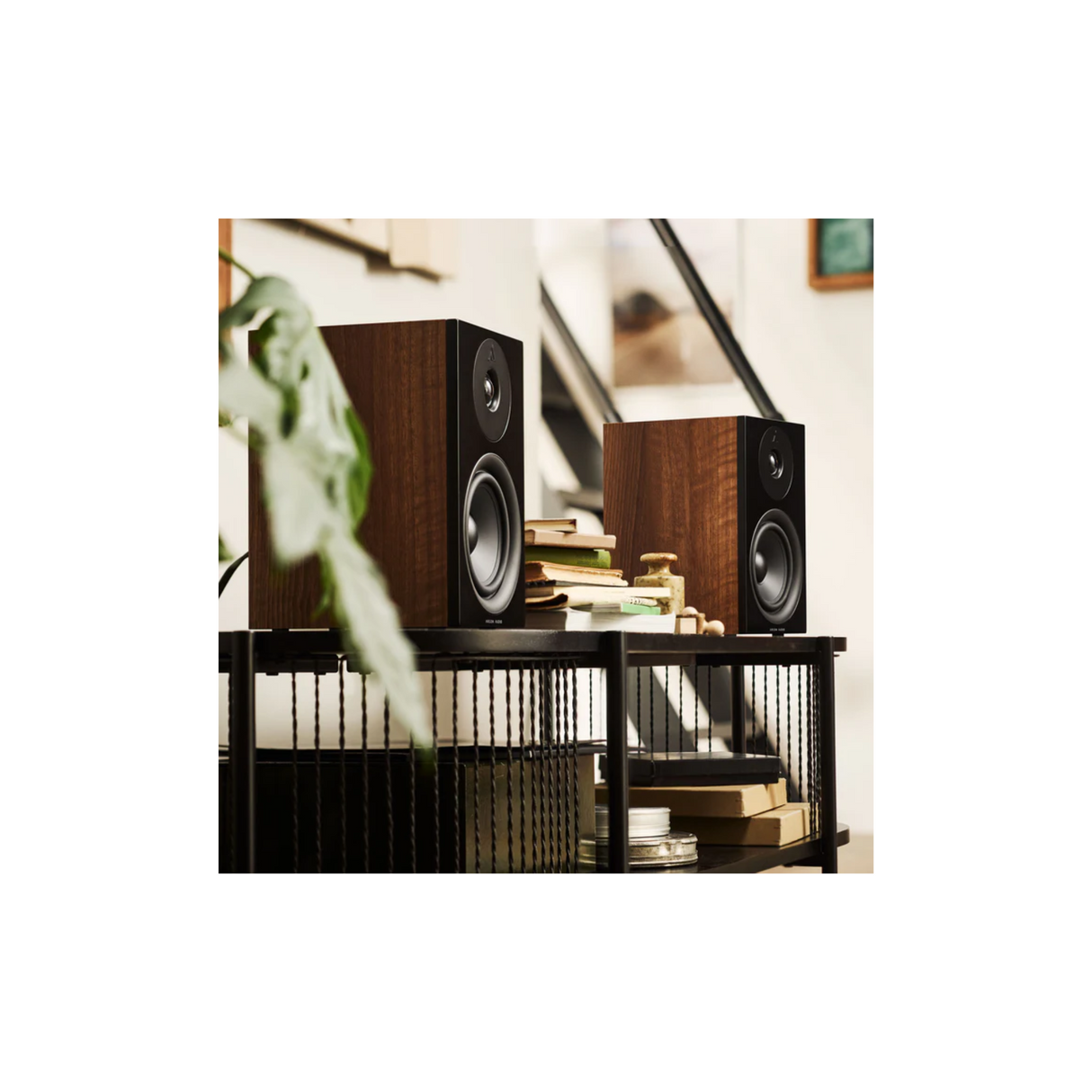Argon Audio Forus 5 - Bookshelf Speaker (Pair) (Black)