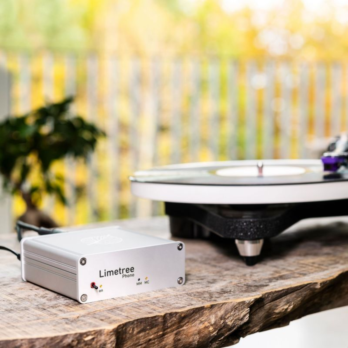 Lindemann Limetree PHONO II - Preamplifier