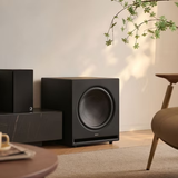 Elipson Premium Sub 15 - 15 Inches 650W Powered Subwoofer