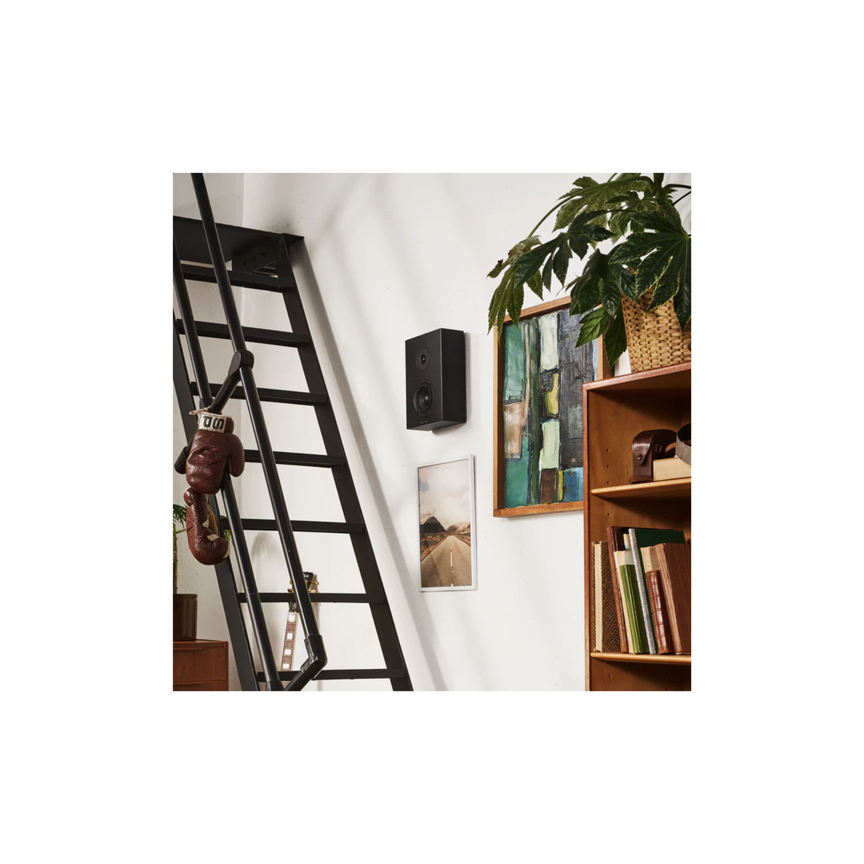 Argon Audio Forus 4 Wall - On-Wall Speaker (Pair) (Black)