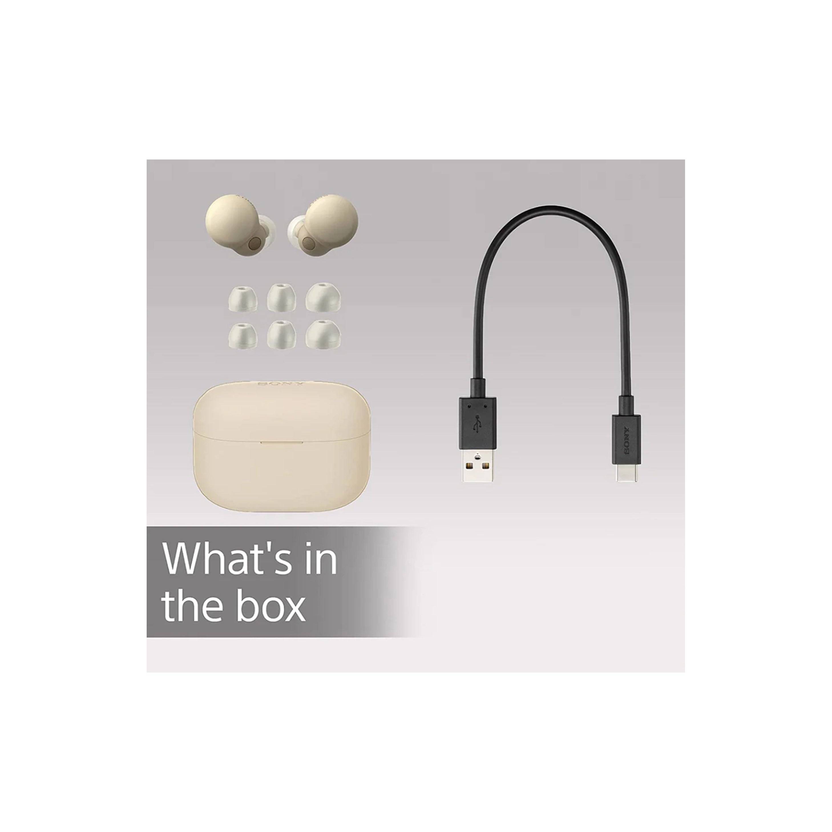 Sony LinkBuds S WF-LS900N - Truly Wireless Noise Cancelling