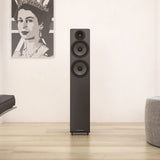 Acoustic Energy AE109 - 2.5 Way Floor Standing Speaker (Pair) (Black)