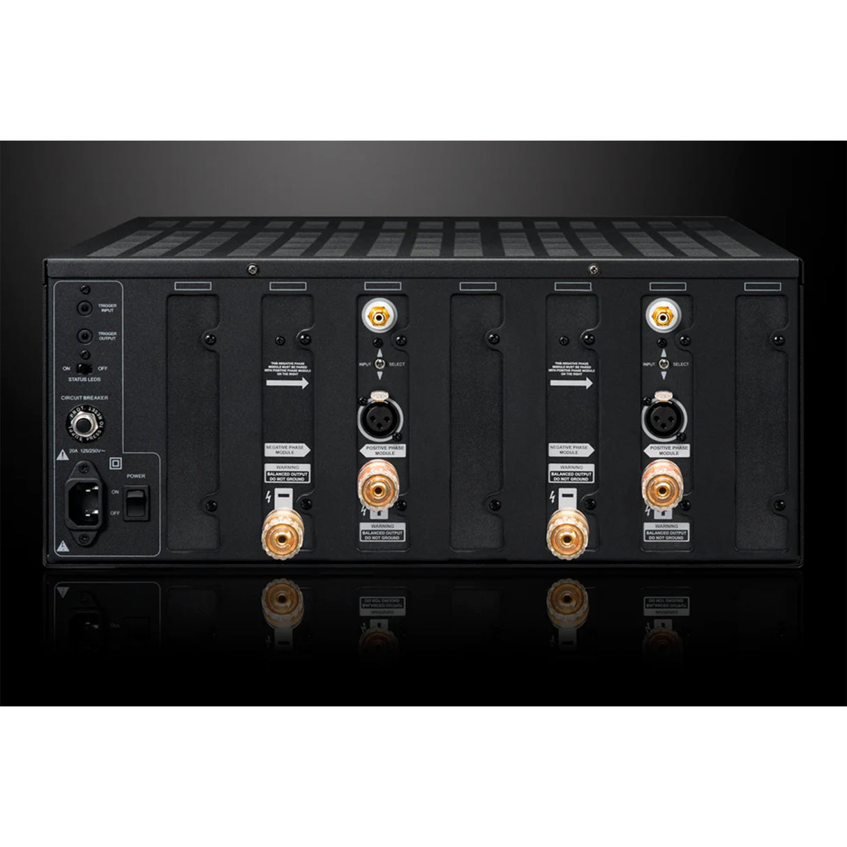 Emotiva XPA-DR2 Differential Reference 2 Channel Power Amplifier