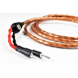 Wireworld Mini Eclipse 8 Terminated Speaker Cable - (3 Meter) (Pair)