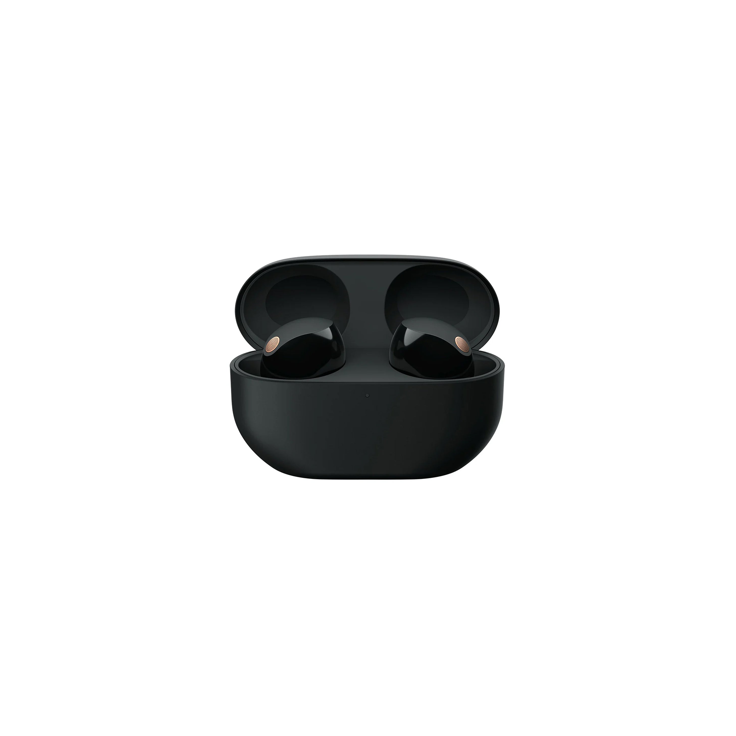 Sony WF-1000X M5 - Wireless Noise Cancellation Earphones (Black