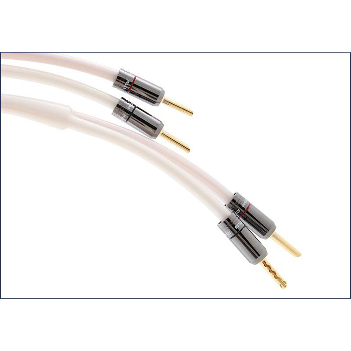 Atlas Cables Equator 2.0 Speaker Cable Cobalt (3 Meter)