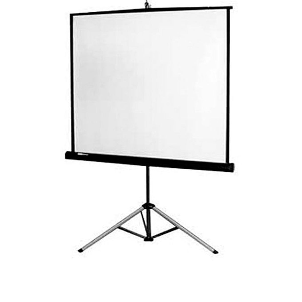 Prime Ecoline 120 Inches (4:3 Ratio)- Tripod Projection Screen Full HD & 3D Ready