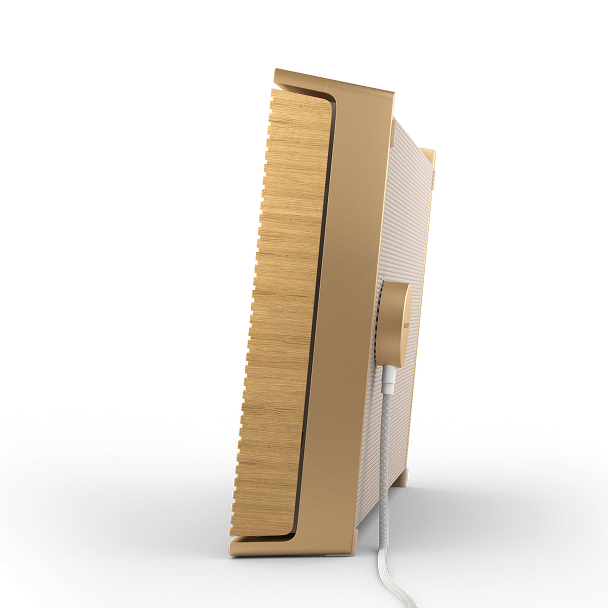 Bang & Olufsen Sound Level - Portable WiFi Speaker