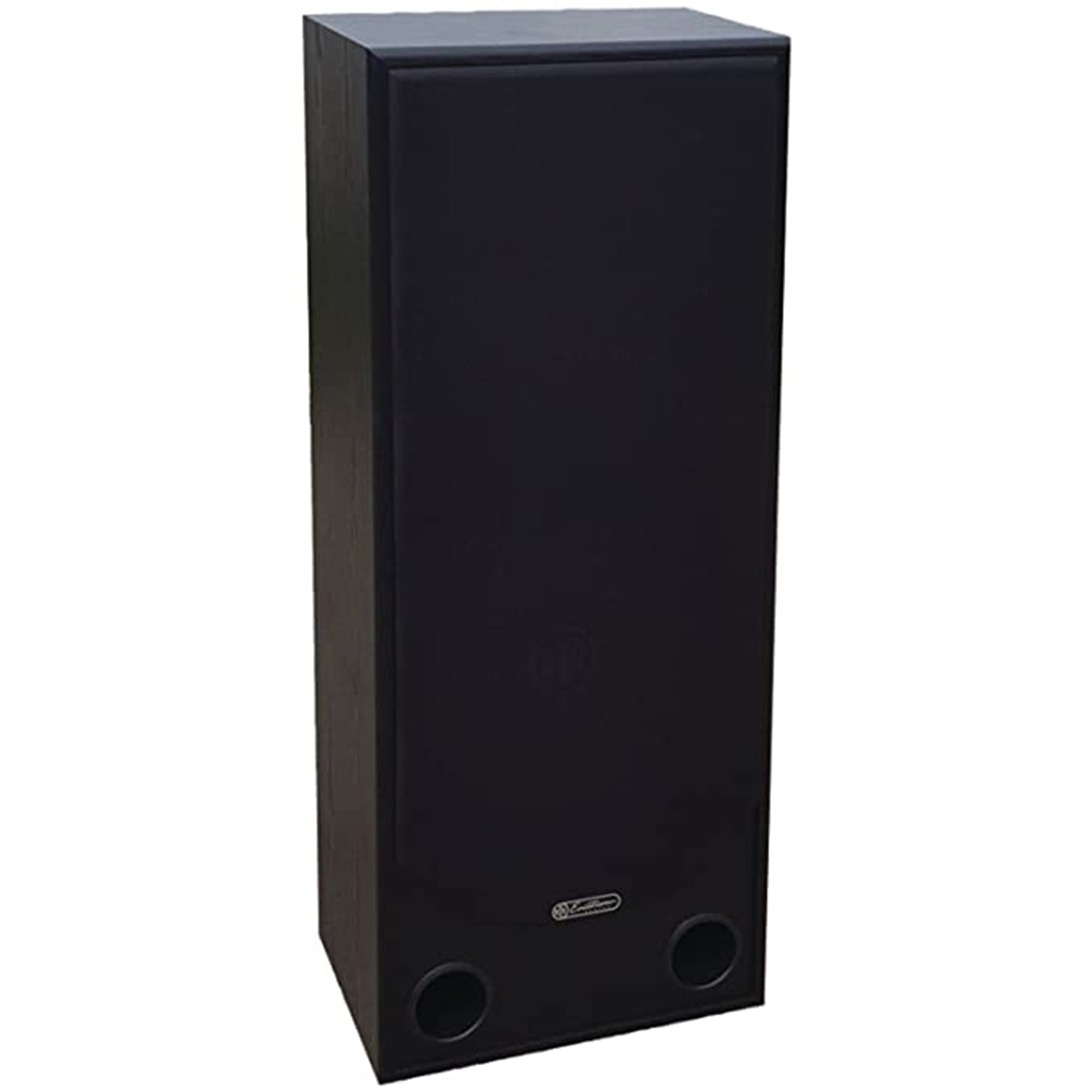 Bic america discount floor standing speakers